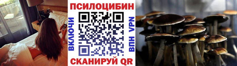 omg вход  Мыски  Галлюциногенные грибы Psilocybe 
