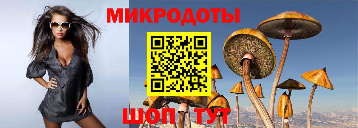 Мыски  Галлюциногенные грибы мухоморы  Вход с VPN 