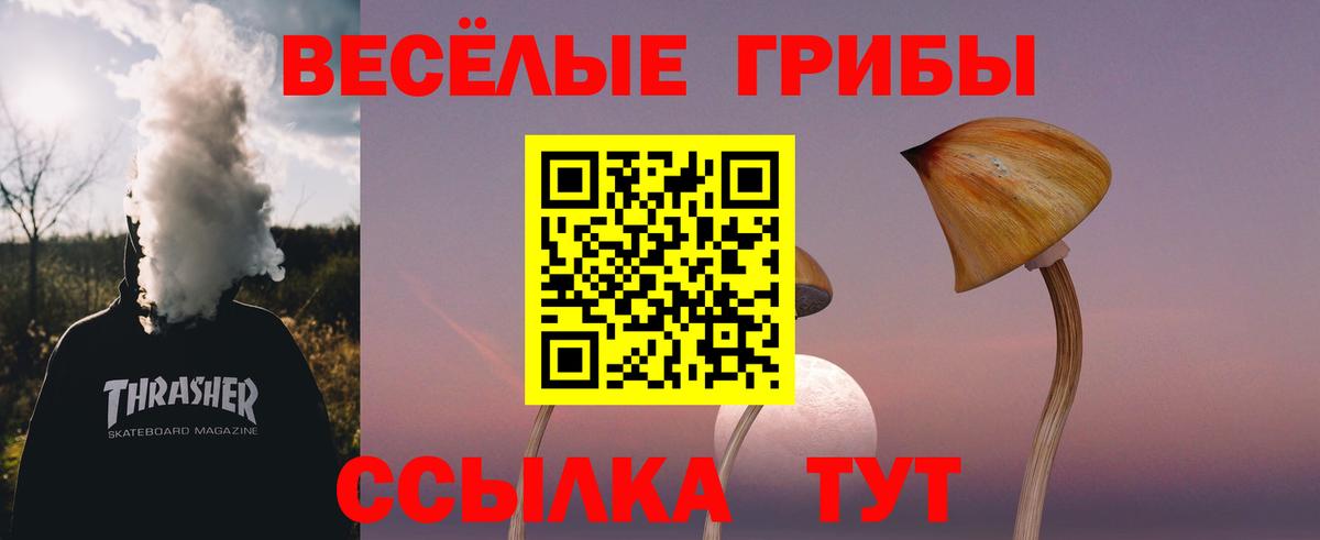 Галлюциногенные грибы Magic Shrooms Мыски